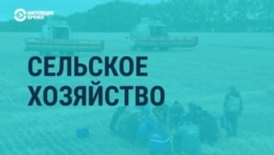 "Успехи по большей части дутые": разбираем послание Путина с экономическим обозревателем Радио Свобода Максимом Блантом